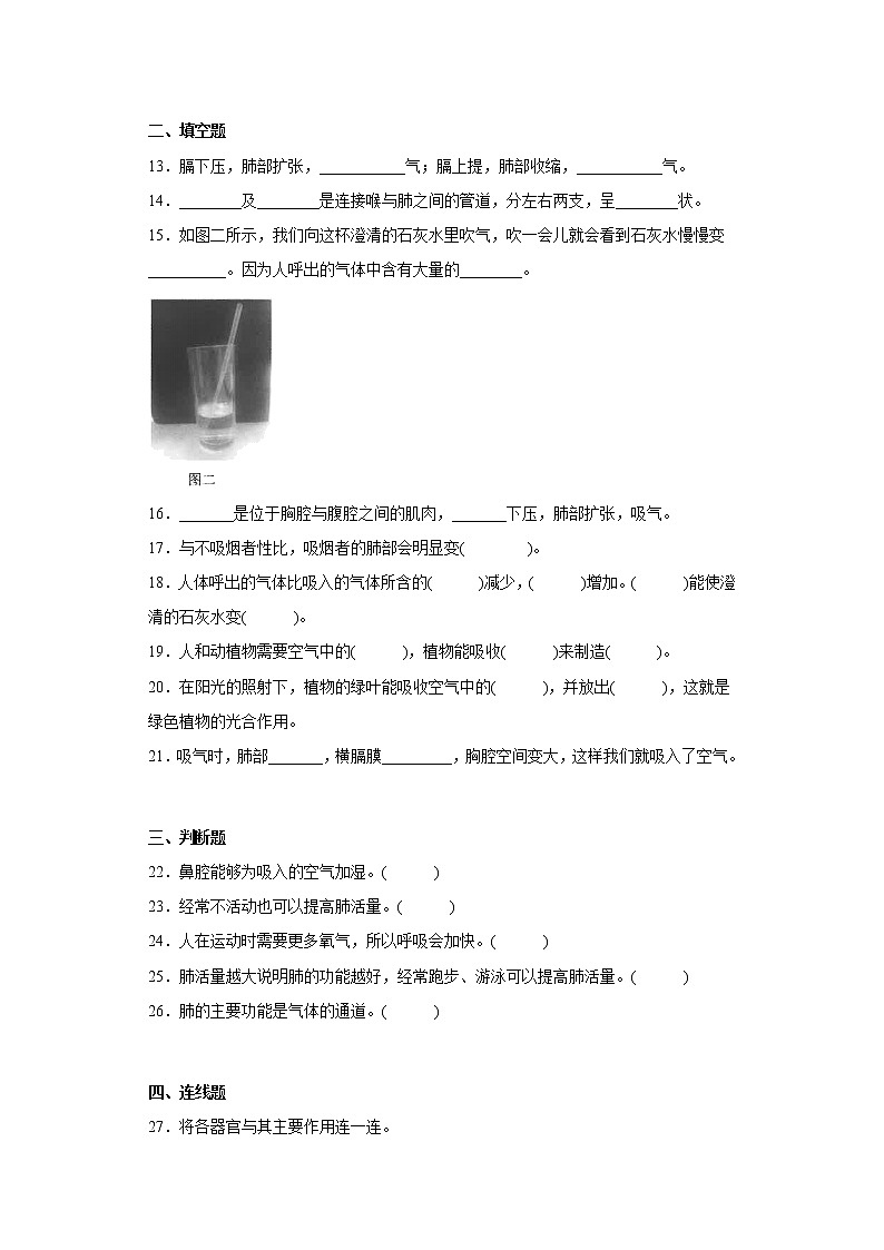 大象版四年级科学上册第四单元过关测试题人体的呼吸器官(二)含答案第2页
