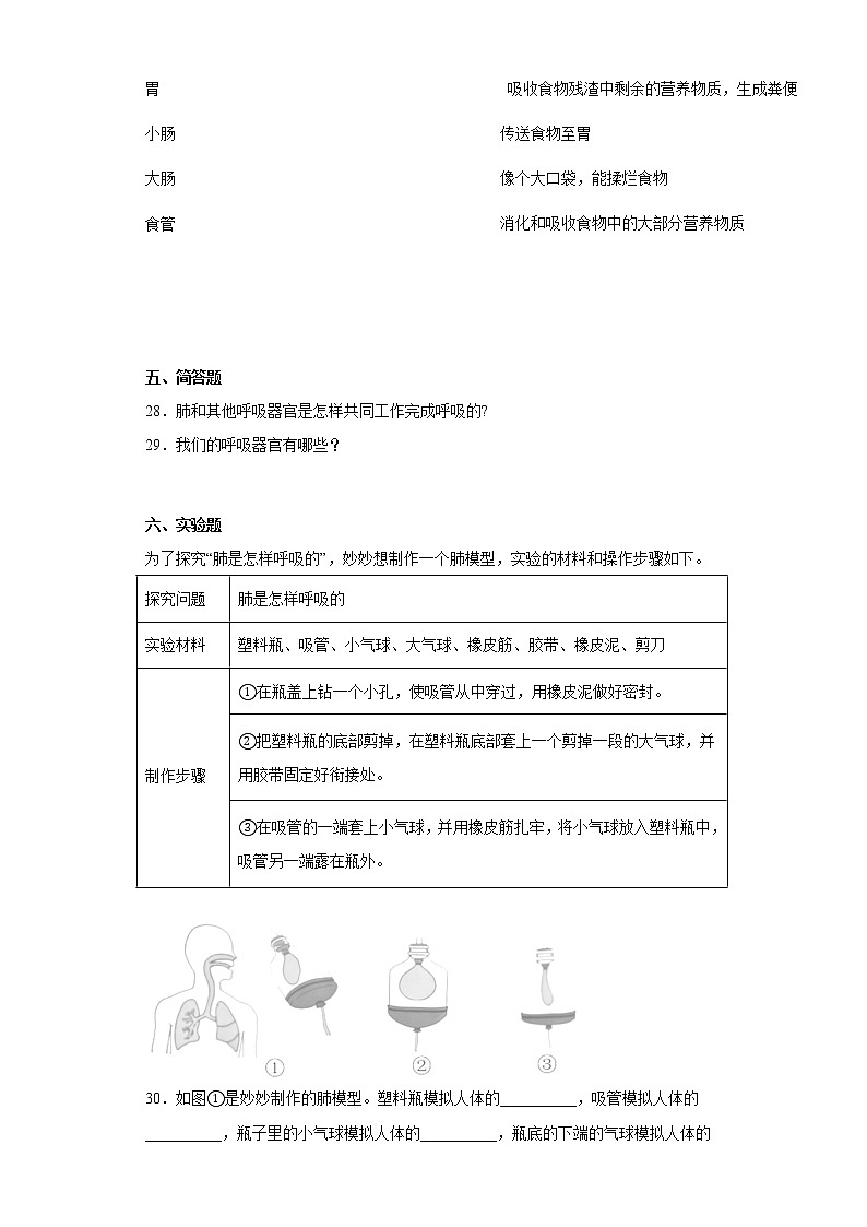 大象版四年级科学上册第四单元过关测试题人体的呼吸器官(二)含答案第3页