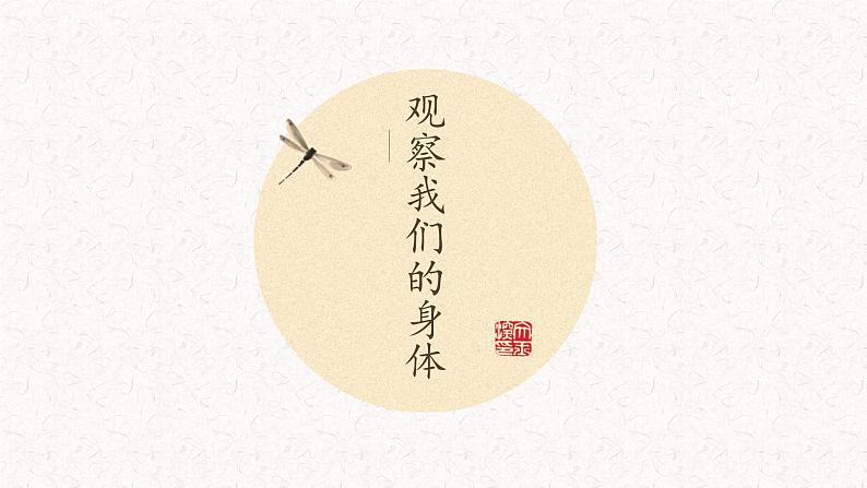 二下观察我们的身体说课课件第1页