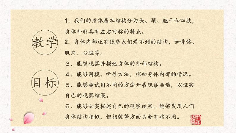 二下观察我们的身体说课课件第4页