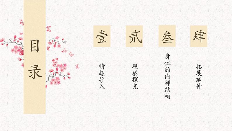 二下观察我们的身体说课课件第6页