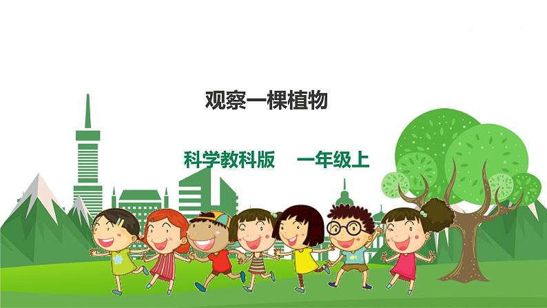1.2《观察一棵植物》课件(34张PPT)第1页