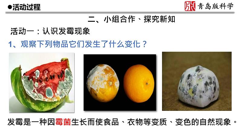 6.《发霉与防霉》教学课件03