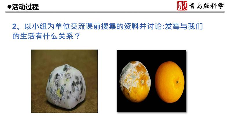 6.《发霉与防霉》教学课件04