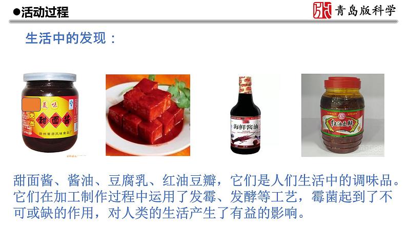 6.《发霉与防霉》教学课件06