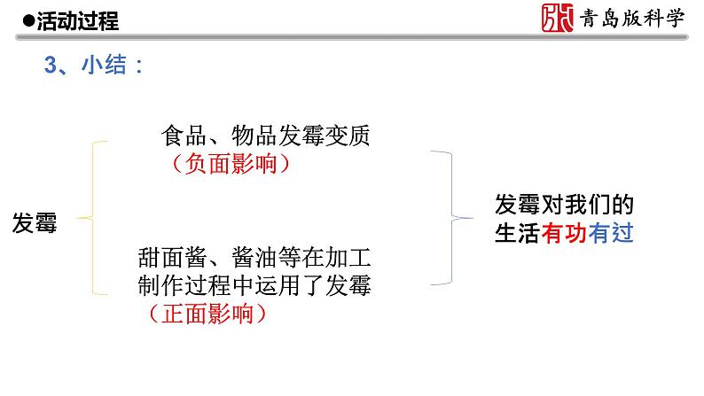 6.《发霉与防霉》教学课件07
