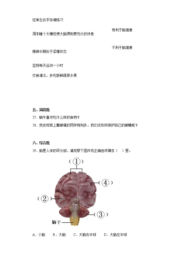 大象版五年级科学上册第二单元过关测试题人体司令部(一)含答案03