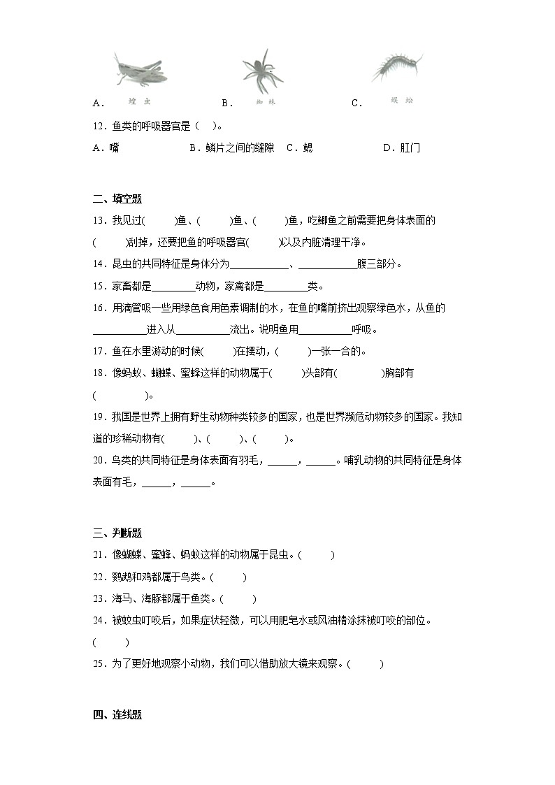 青岛版四年级科学上册第一单元综合测试卷动物王国(一)含答案02