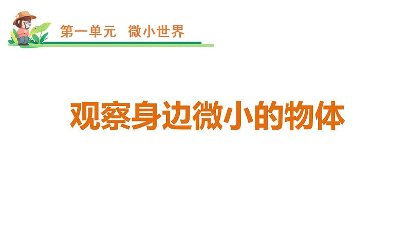 六下第一单元《观察身边微小的物体》课件01