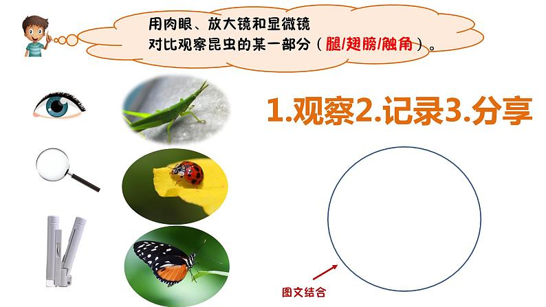 六下第一单元《观察身边微小的物体》课件03