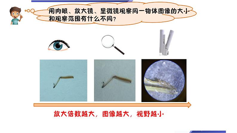六下第一单元《观察身边微小的物体》课件05