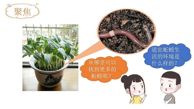小学科学 五年级下《蚯蚓的选择》 课件第3页