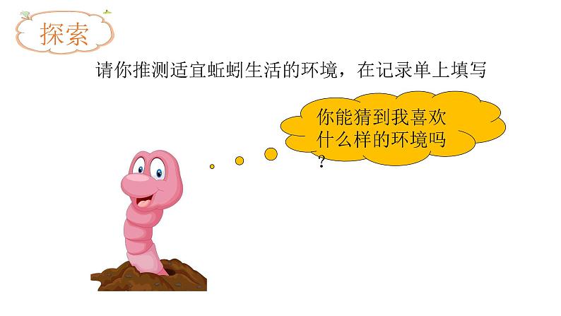 小学科学 五年级下《蚯蚓的选择》 课件第4页