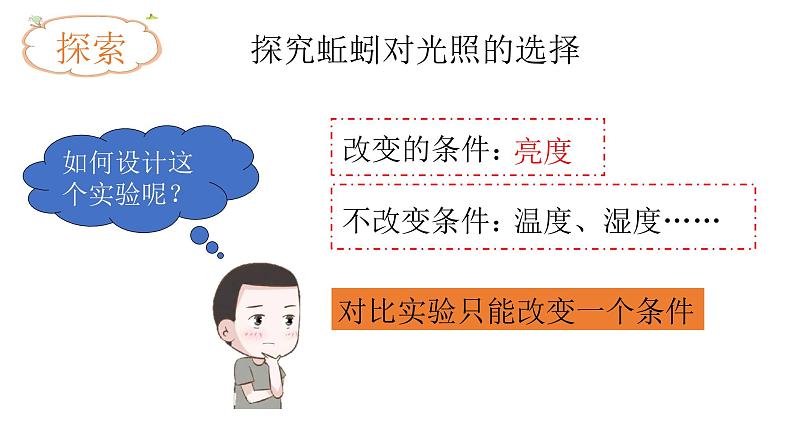 小学科学 五年级下《蚯蚓的选择》 课件第6页