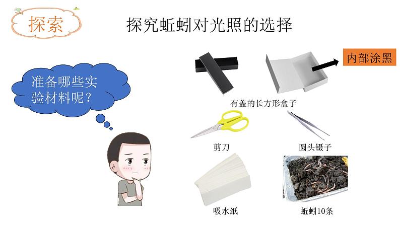 小学科学 五年级下《蚯蚓的选择》 课件第7页