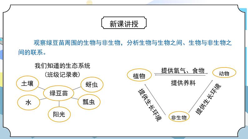1.7《设计和制作生态瓶》课件PPT第5页