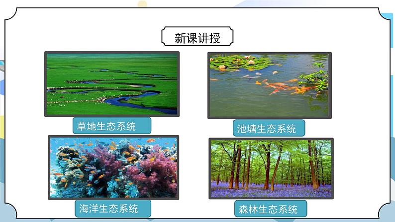 1.7《设计和制作生态瓶》课件PPT第8页