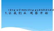 小学科学湘科版 (2017)一年级上册1 让我们从观察开始课堂教学课件ppt