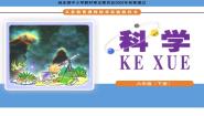 科学六年级下册4 保护我们的生命之河图文课件ppt