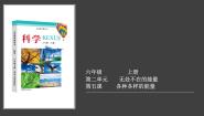 冀人版 (2017)六年级上册5 各种各样的能量背景图课件ppt