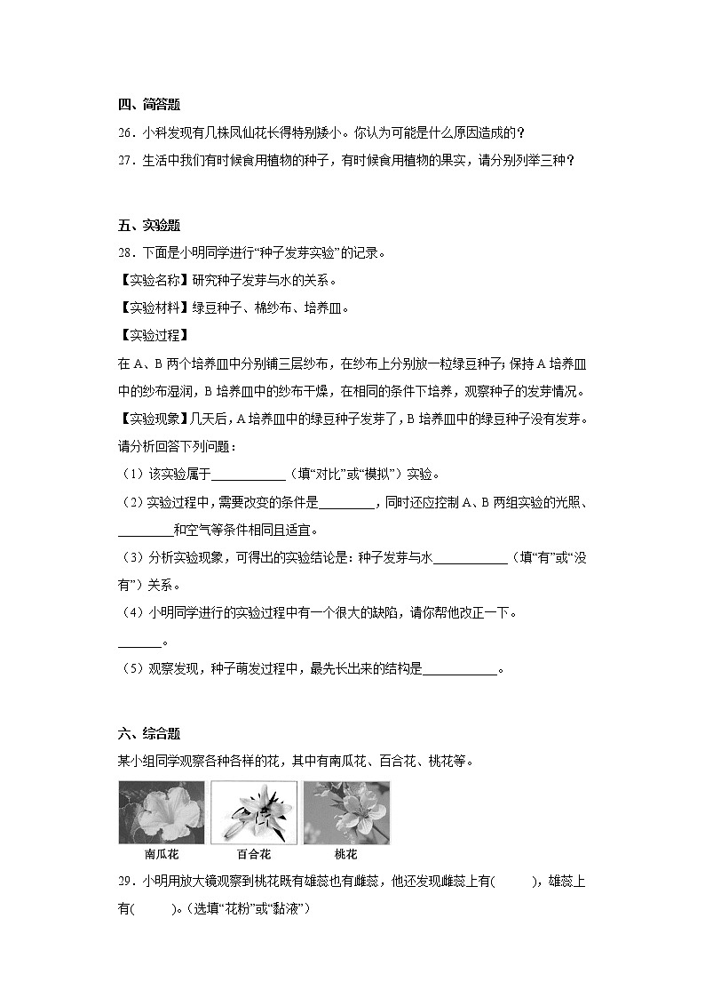 教科版四年级科学下册第一单元综合测试卷植物的生长变化(二)含答案第3页