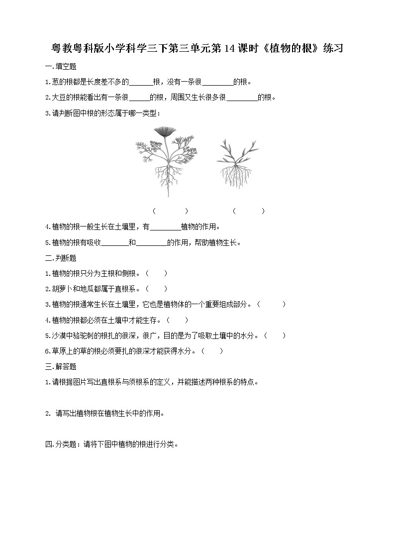 粤教粤科版小学科学三下第三单元第14课时《植物的根》练习第1页
