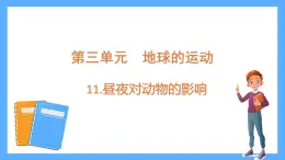 苏教版科学五年级下册 11.昼夜对动物的影响 课件