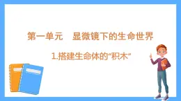 苏教版科学五年级下册 1 搭建生命体的“积木课件