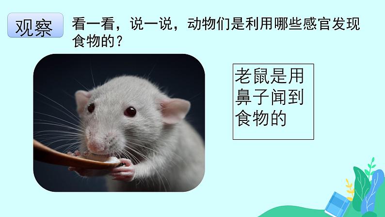 大象版科学二年级上册4.2动物觅食(课件)04