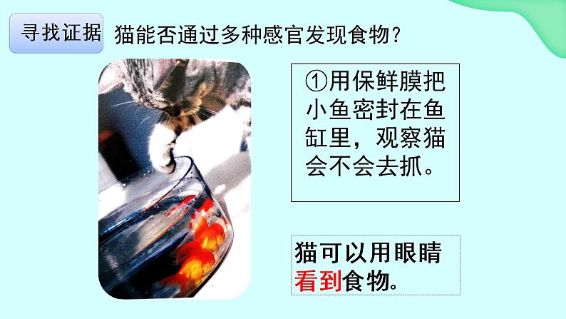 大象版科学二年级上册4.2动物觅食(课件)08