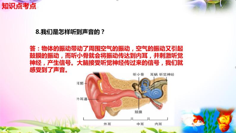 教科版科学四年级上册1.4我们是怎样听到声音的-知识点复习课件+实验+典型试题(动画已调点击出现)06