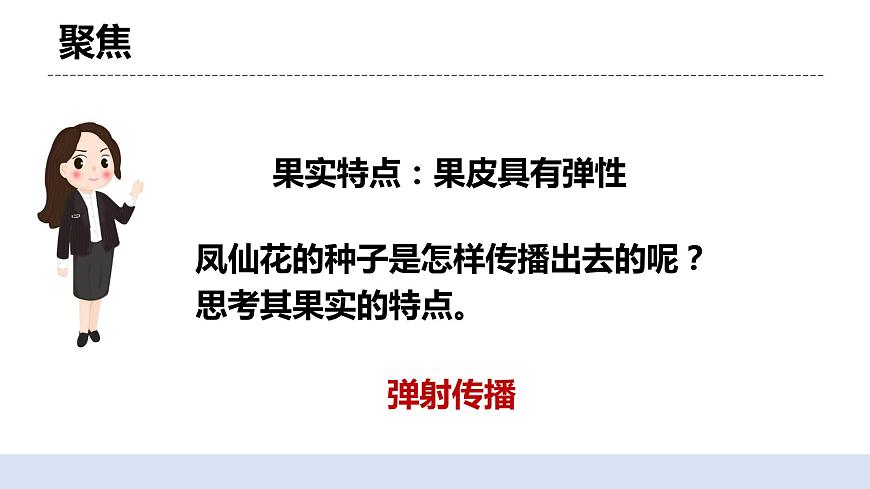 1.7《種子的傳播》 課件第4頁