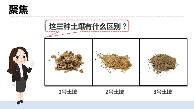 3.7《比较不同的土壤》课件+素材(送教案)05
