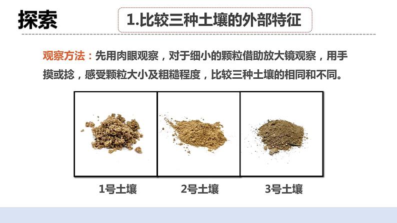 3.7《比较不同的土壤》课件+素材(送教案)07