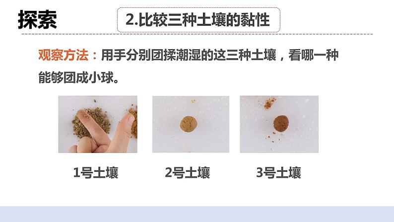 3.7《比较不同的土壤》课件+素材(送教案)08