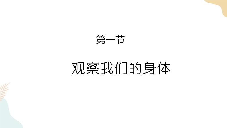 二年级下册科学课件-2.1观察我们的身体 教科版第1页