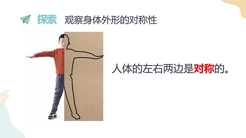 二年级下册科学课件-2.1观察我们的身体 教科版第4页