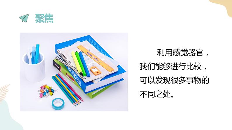 二年级下册科学课件-2.3观察与比较 教科版第2页