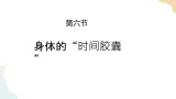 二年级下册科学课件-2.6身体的“时间胶囊” 教科版