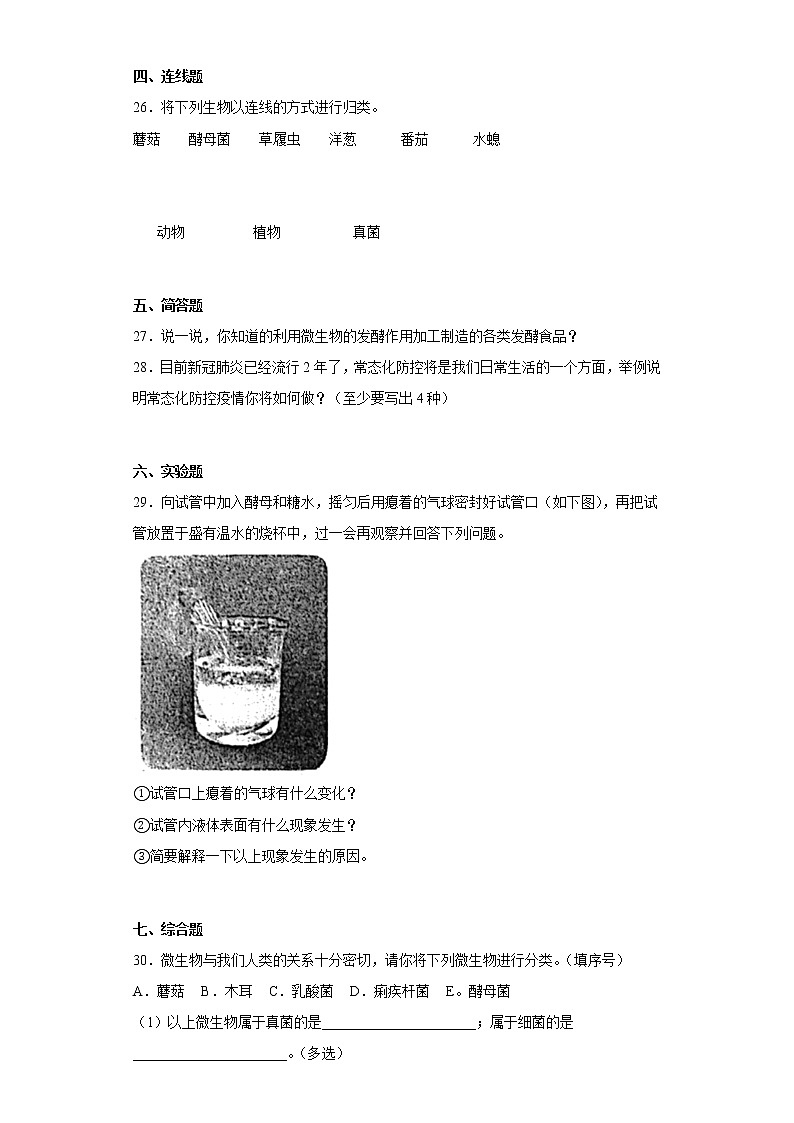 粤教版五年级科学下册第二单元综合测试卷(一)含答案第3页