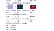 小学科学青岛版六三制六年级上册第一单元《遗传和变异》测试题（2022秋）（附参考答案）