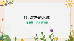 4.13洁净的水域 课件