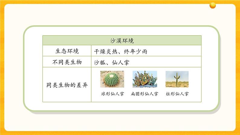 4.15多样的生物 课件07