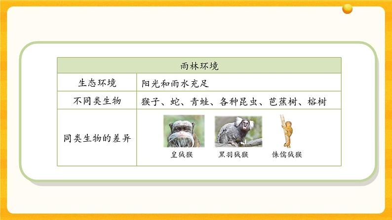 4.15多样的生物 课件08
