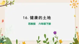 4.16健康的土地 课件