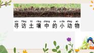 科学9 寻访土壤中的小动物试讲课ppt课件