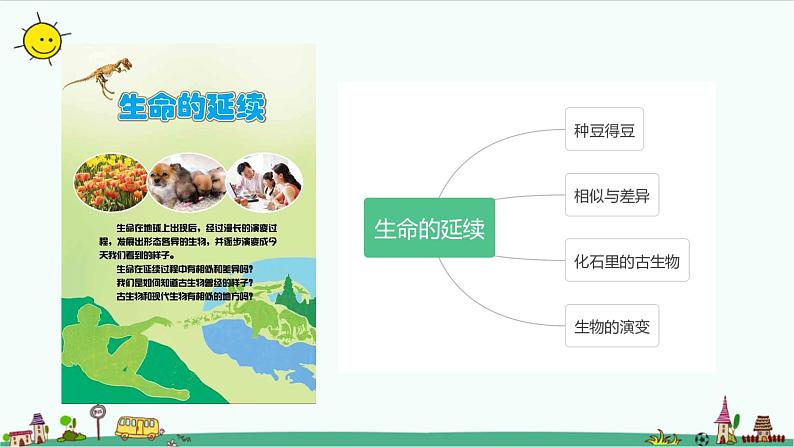 冀人版科学(2017)六年级上册第一单元《生命的延续》复习课件02
