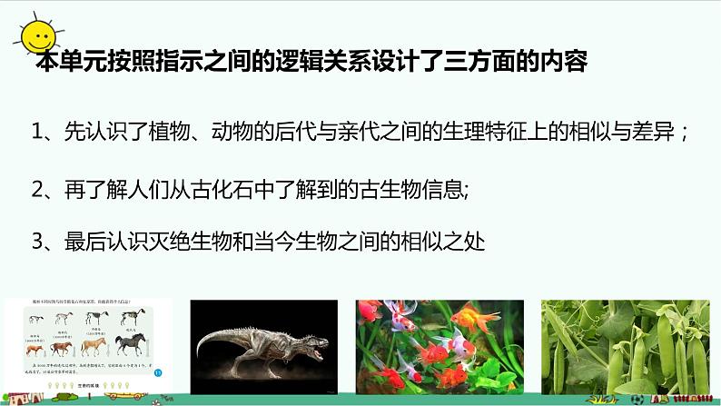 冀人版科学(2017)六年级上册第一单元《生命的延续》复习课件03
