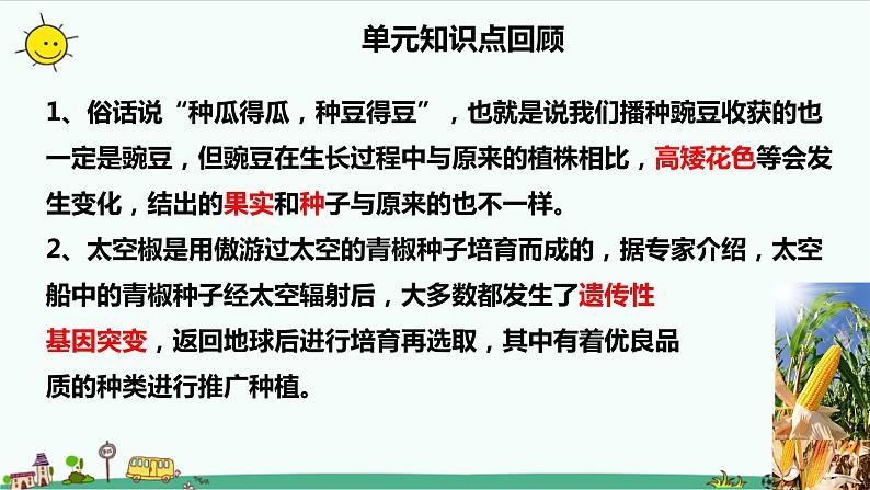 冀人版科学(2017)六年级上册第一单元《生命的延续》复习课件04