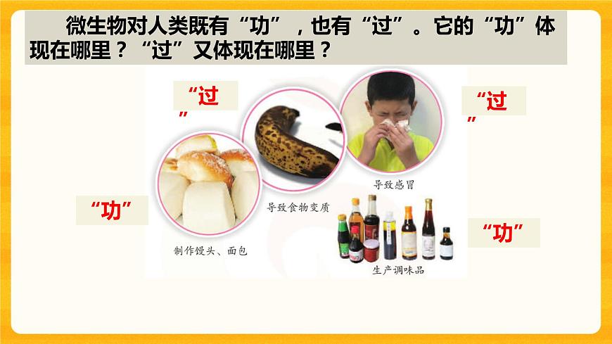 4.微生物的“功”與“過” 課件第2頁(yè)